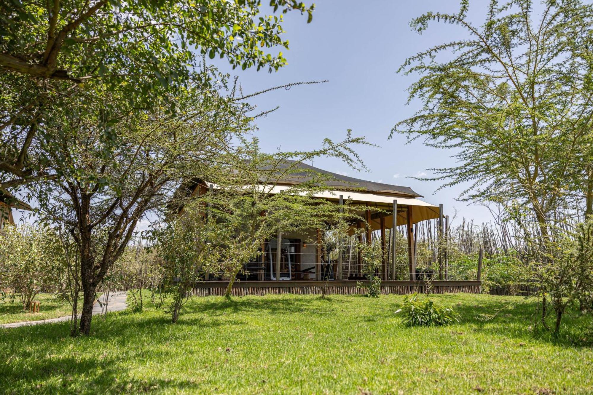 Jw Marriott Masai Mara Lodge Μασάι Μάρα Εξωτερικό φωτογραφία