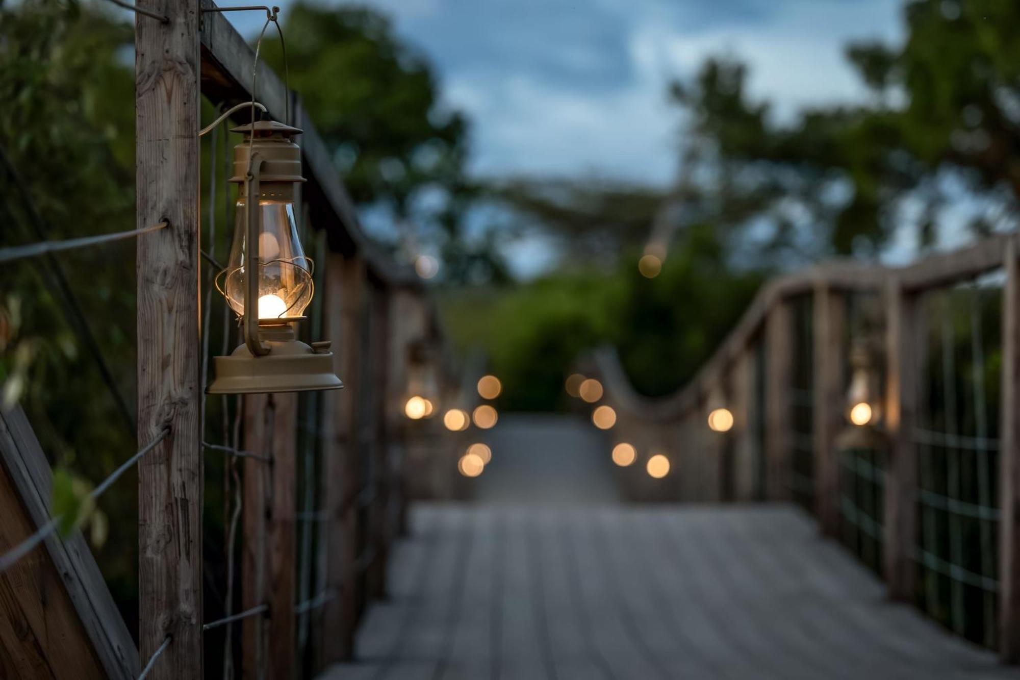 Jw Marriott Masai Mara Lodge Μασάι Μάρα Εξωτερικό φωτογραφία