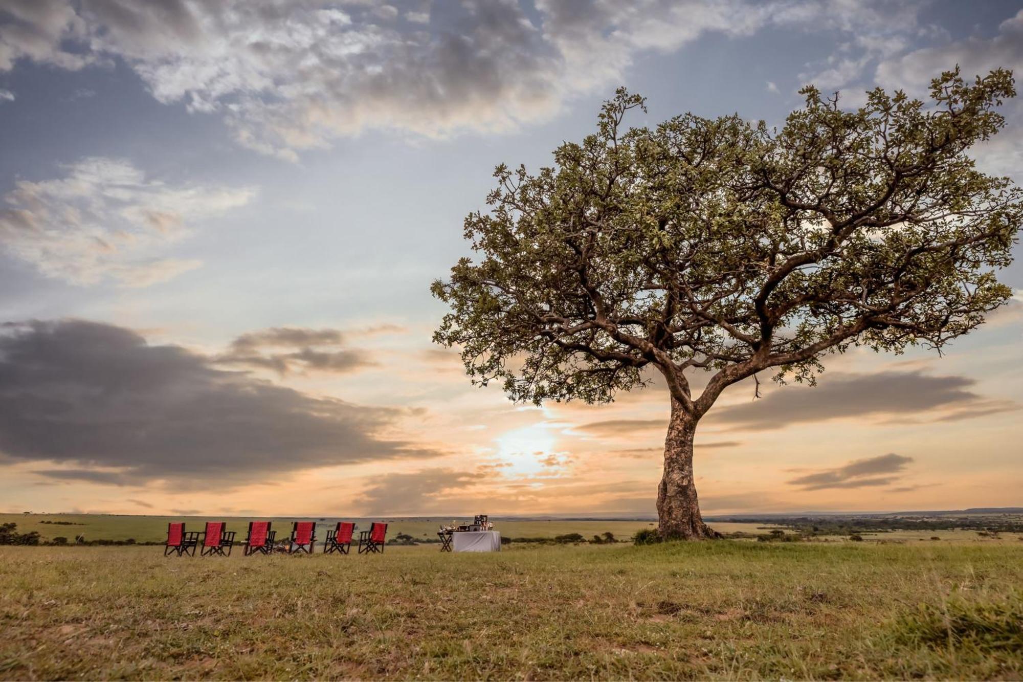 Jw Marriott Masai Mara Lodge Μασάι Μάρα Εξωτερικό φωτογραφία